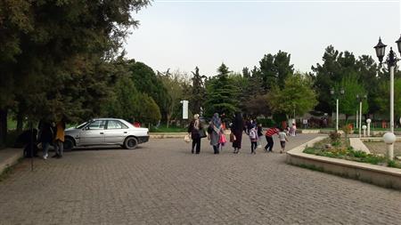 محوطه کتابخانه