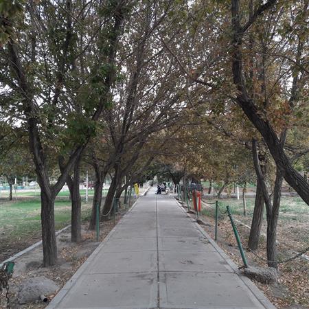 محوطه کتابخانه