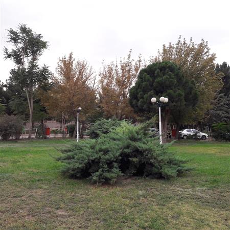 محوطه کتابخانه