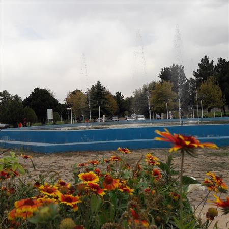 محوطه کتابخانه